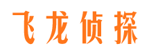 掇刀飞龙私家侦探公司